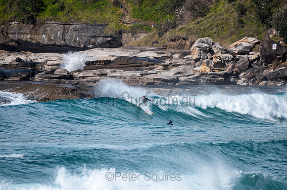 Whale_Beach-200809-09.44-1115