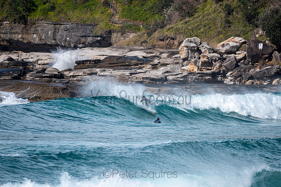 Whale_Beach-200809-09.44-1073