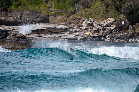 Whale_Beach-200809-09.44-1169
