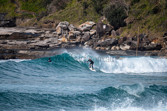 Whale_Beach-200809-09.44-1341