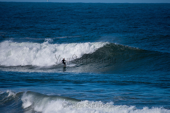 Palm_Beach-200811-13.12-172