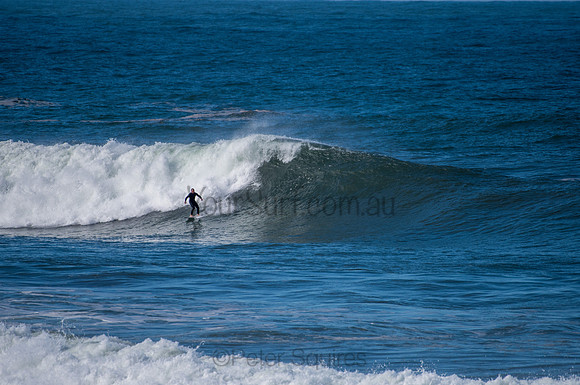 Palm_Beach-200811-13.12-400