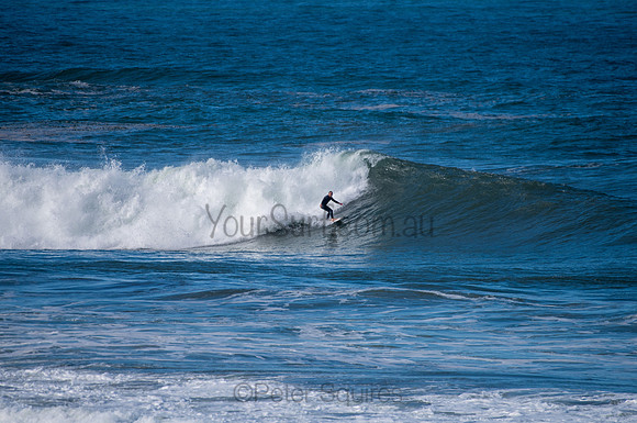 Palm_Beach-200811-13.12-140