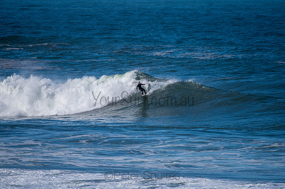Palm_Beach-200811-13.12-557
