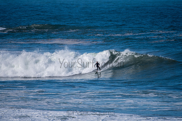 Palm_Beach-200811-13.12-030