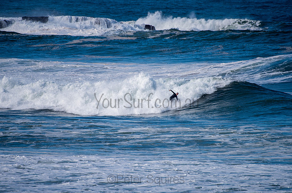 Palm_Beach-200811-13.12-333