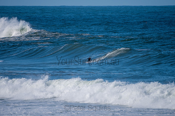 Palm_Beach-200811-13.15-581