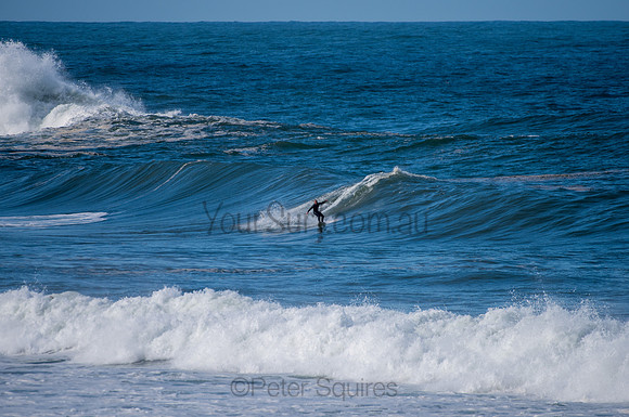 Palm_Beach-200811-13.15-409