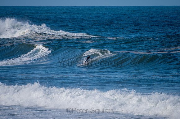 Palm_Beach-200811-13.15-385
