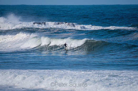 Palm_Beach-200811-13.15-449
