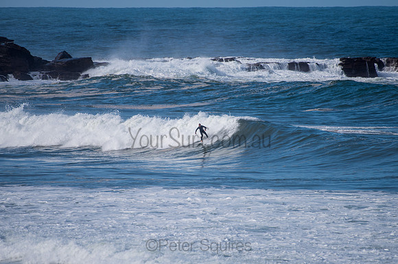 Palm_Beach-200811-13.15-578