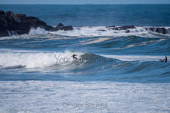 Palm_Beach-200811-13.15-577