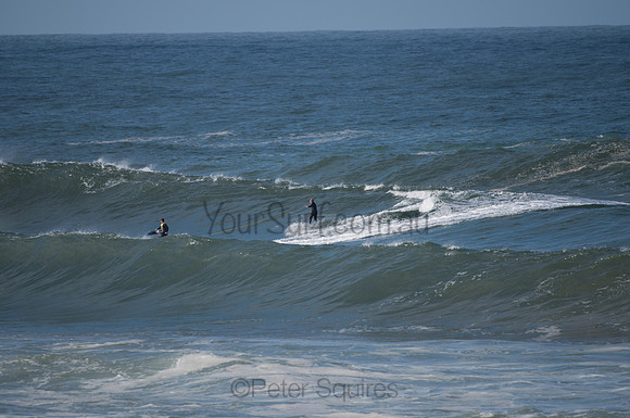 Palm_Beach-200811-13.30-086