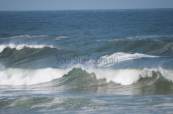 Palm_Beach-200811-13.30-469