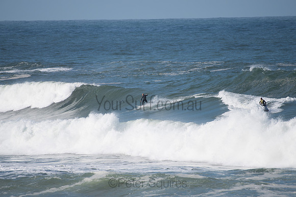 Palm_Beach-200811-13.30-459
