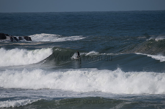 Palm_Beach-200811-13.30-426