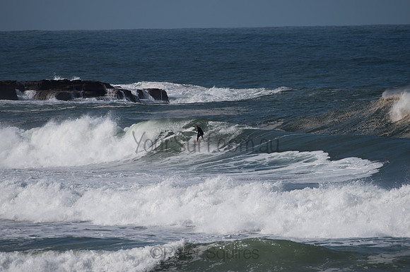 Palm_Beach-200811-13.30-454