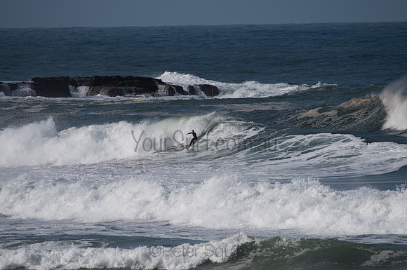 Palm_Beach-200811-13.30-451