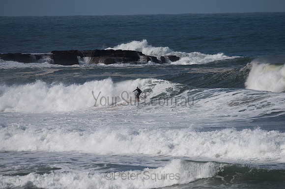 Palm_Beach-200811-13.30-448