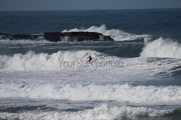 Palm_Beach-200811-13.30-447