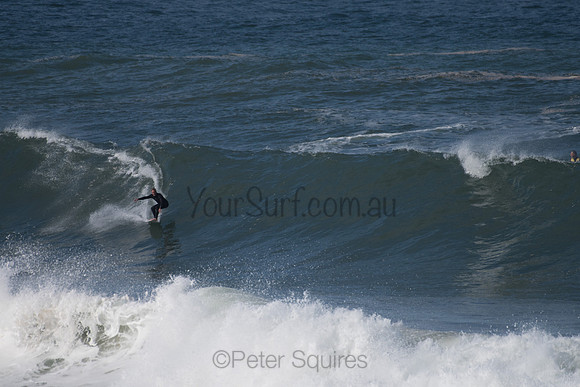 Palm_Beach-200811-13.36-317