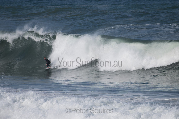 Palm_Beach-200811-13.36-402