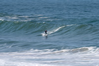 Palm_Beach-200811-13.57-158