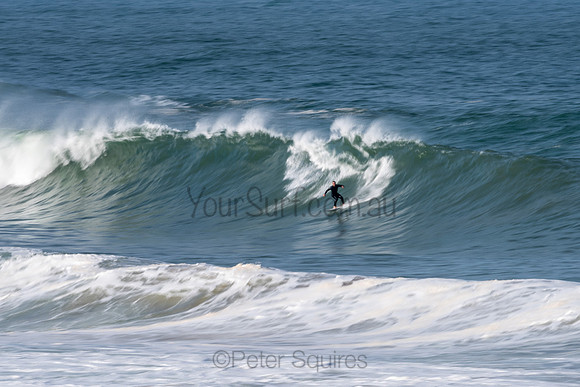 Palm_Beach-200811-13.57-132