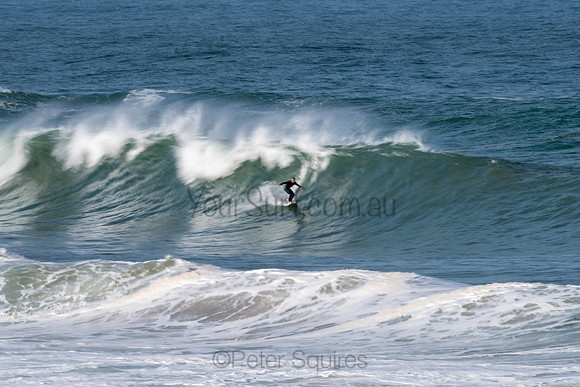 Palm_Beach-200811-13.57-125