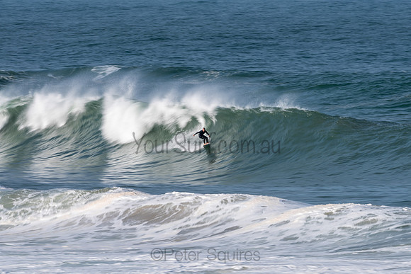 Palm_Beach-200811-13.57-525