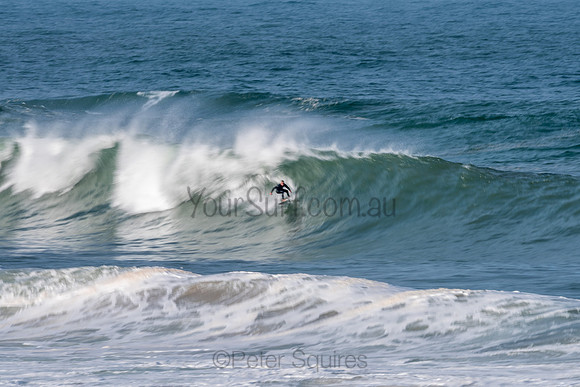 Palm_Beach-200811-13.57-276
