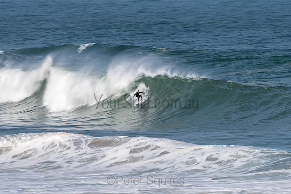 Palm_Beach-200811-13.57-119