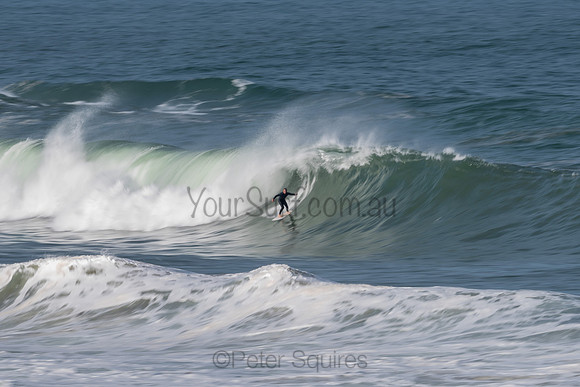 Palm_Beach-200811-13.57-348