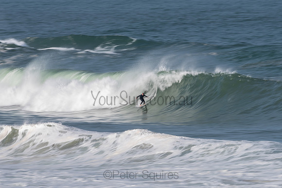 Palm_Beach-200811-13.57-004