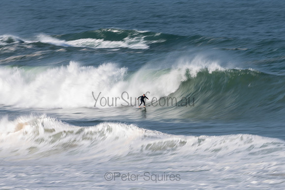Palm_Beach-200811-13.57-108