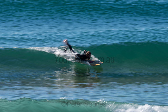 Palm_Beach-200815-08.34-291