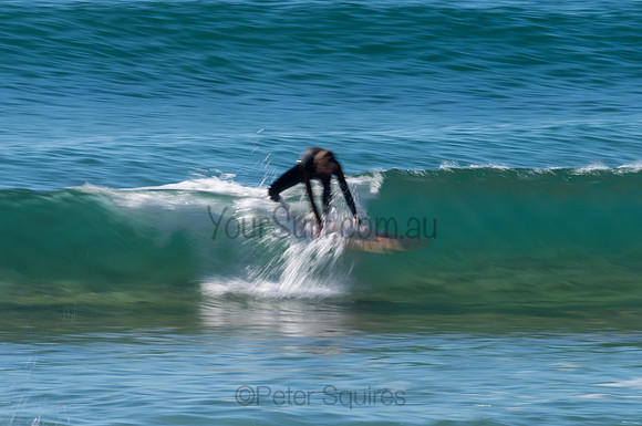 Palm_Beach-200815-08.34-134