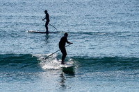 Palm_Beach-200815-08.03-319