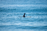 Palm_Beach-200815-08.05-330