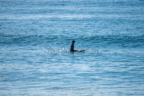 Palm_Beach-200815-08.05-219