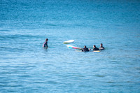 Palm_Beach-200815-08.05-292