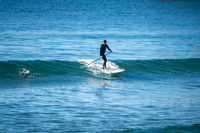 Palm_Beach-200815-08.11-340