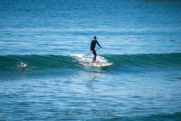 Palm_Beach-200815-08.11-340
