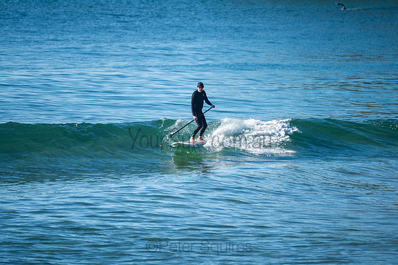 Palm_Beach-200815-08.12-266