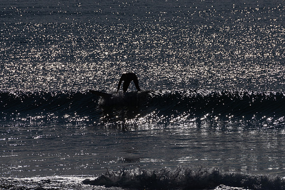 Palm_Beach-200815-08.12-303