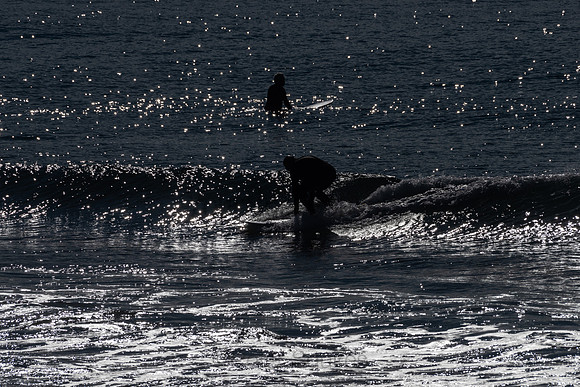Palm_Beach-200815-08.14-243