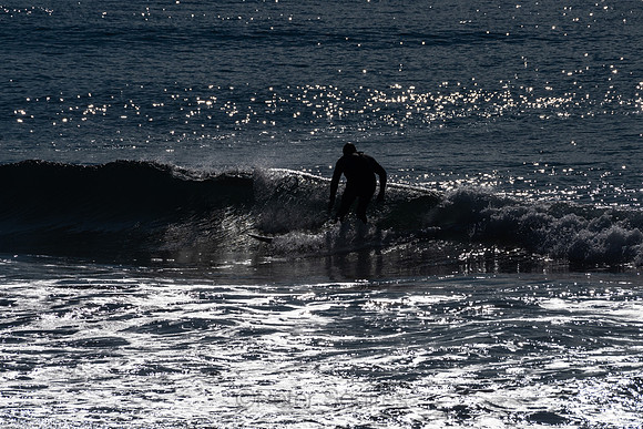 Palm_Beach-200815-08.14-355