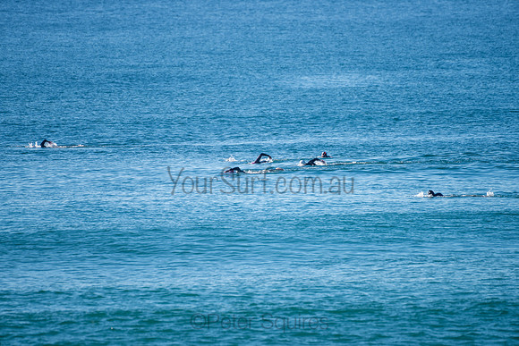 Palm_Beach-200815-08.19-060