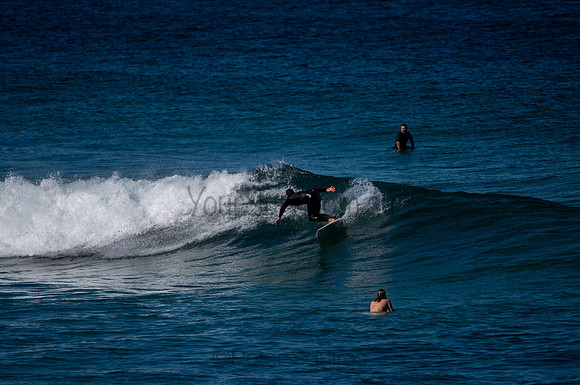 Avalon-200817-12.56-684
