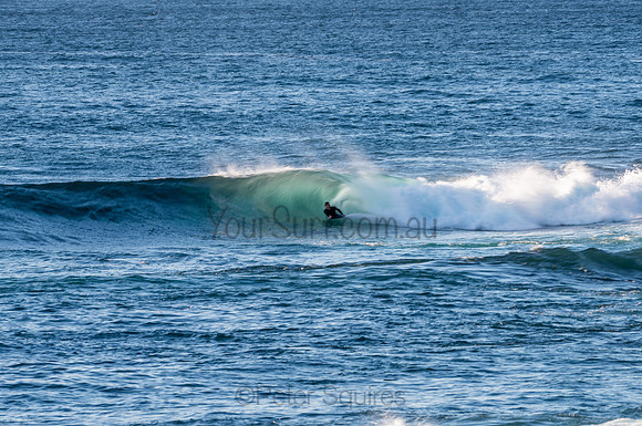 Avalon_200824_06-29-13_0498